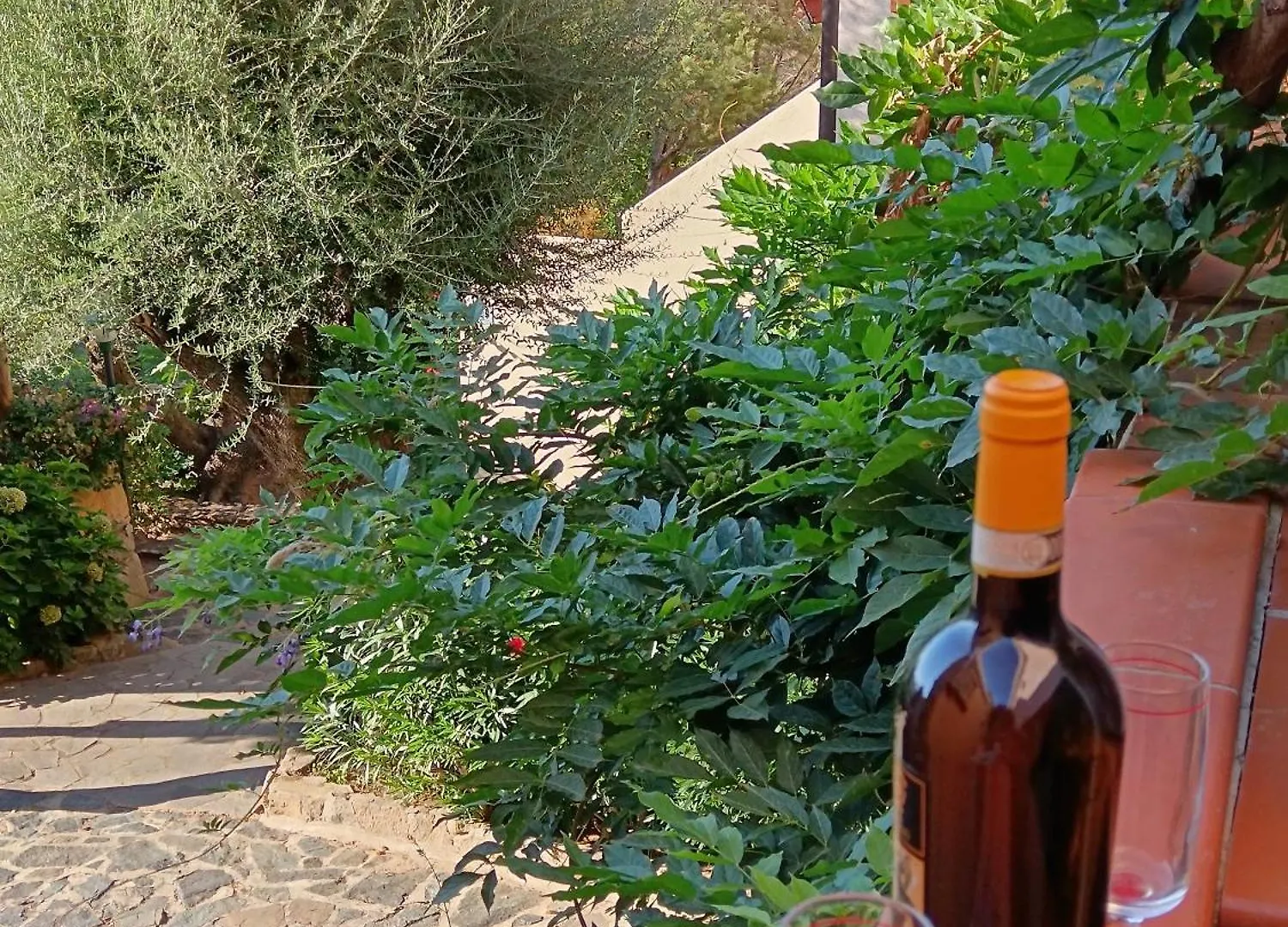 Grazioso Bilocale A Porto Rotondo Apartment